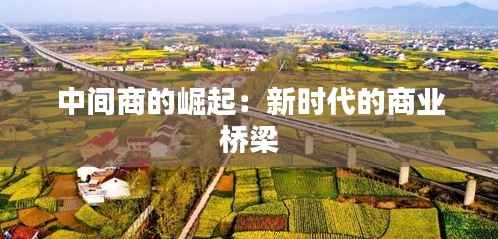 中间商的崛起:新时代的商业桥梁