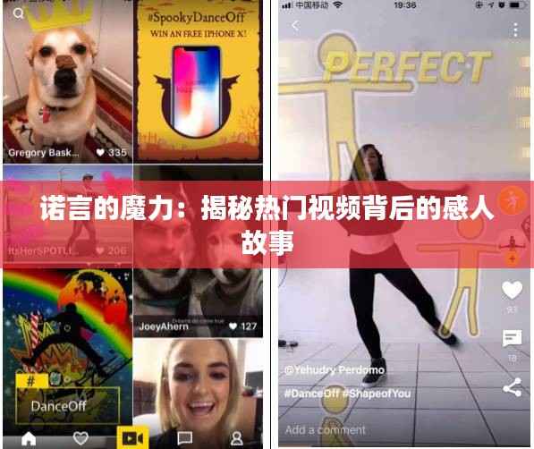 诺言的魔力:揭秘热门视频背后的感人故事