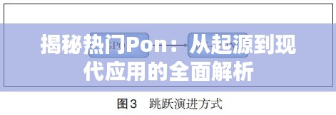 揭秘热门Pon：从起源到现代应用的全面解析
