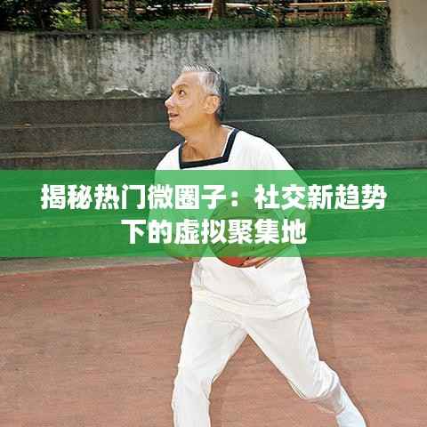 揭秘热门微圈子：社交新趋势下的虚拟聚集地