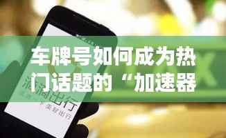 车牌号如何成为热门话题的“加速器”