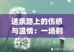 送亲路上的伤感与温情:一场别离的美丽仪式