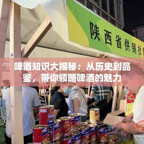 啤酒知识大揭秘:从历史到品鉴,带你领略啤酒的魅力