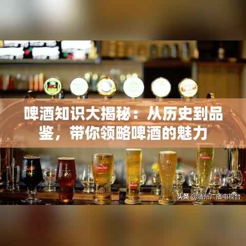 啤酒知识大揭秘:从历史到品鉴,带你领略啤酒的魅力