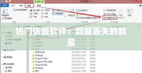 热门恢复软件：数据丢失的救星