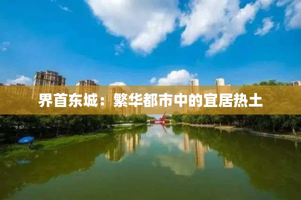 界首东城:繁华都市中的宜居热土