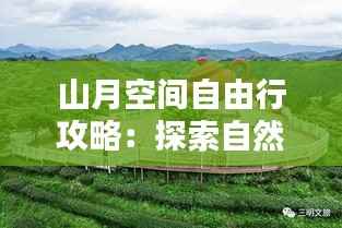 山月空间自由行攻略:探索自然之美,尽享户外时光