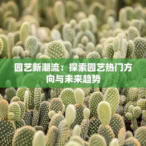 园艺新潮流:探索园艺热门方向与未来趋势