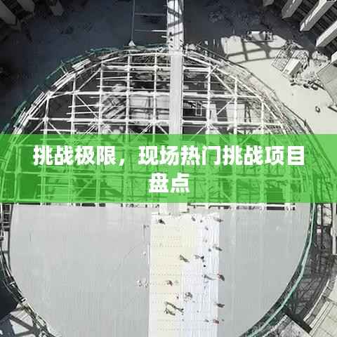 挑战极限,现场热门挑战项目盘点