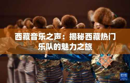 西藏音乐之声：揭秘西藏热门乐队的魅力之旅