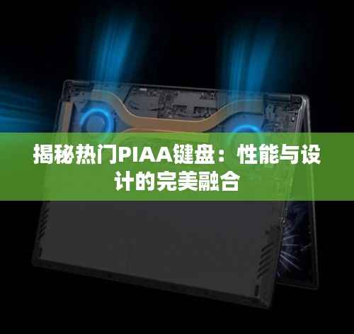 揭秘热门PIAA键盘:性能与设计的完美融合