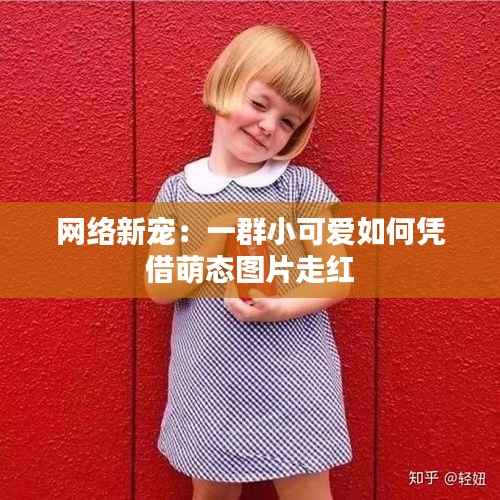 网络新宠:一群小可爱如何凭借萌态图片走红