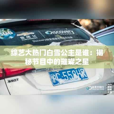 综艺大热门白雪公主是谁:揭秘节目中的璀璨之星