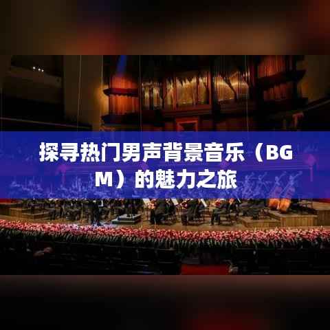 探寻热门男声背景音乐(BGM)的魅力之旅