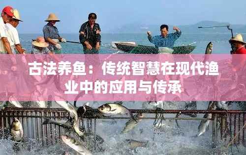 古法养鱼：传统智慧在现代渔业中的应用与传承