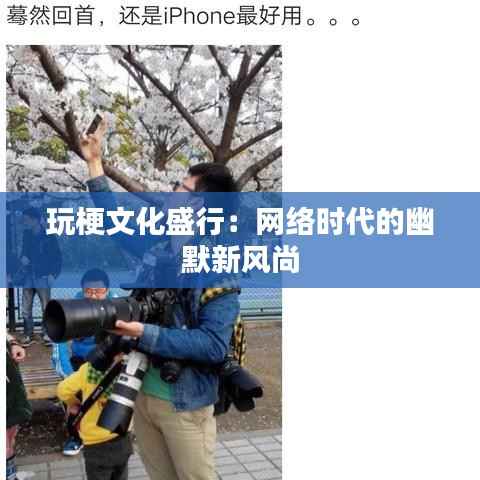 玩梗文化盛行:网络时代的幽默新风尚