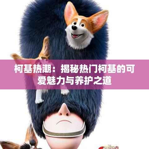柯基热潮：揭秘热门柯基的可爱魅力与养护之道