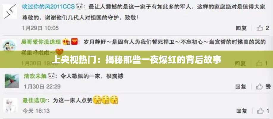 上央视热门:揭秘那些一夜爆红的背后故事