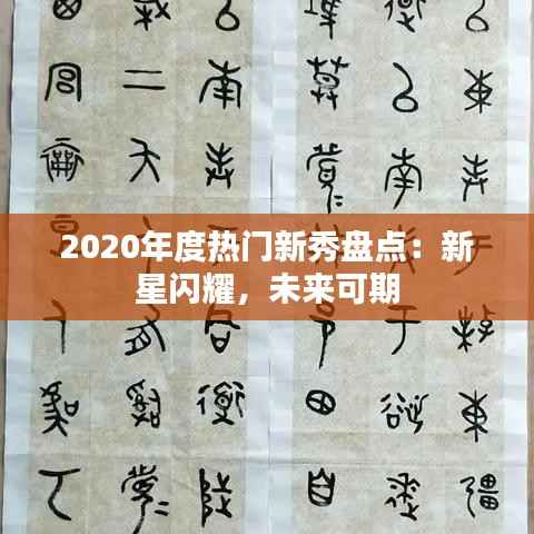 2020年度热门新秀盘点:新星闪耀,未来可期