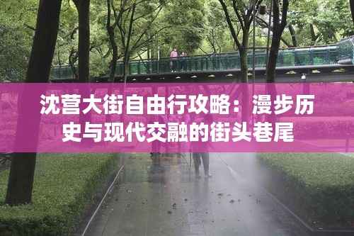 沈营大街自由行攻略:漫步历史与现代交融的街头巷尾