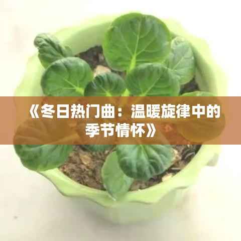 《冬日热门曲:温暖旋律中的季节情怀》