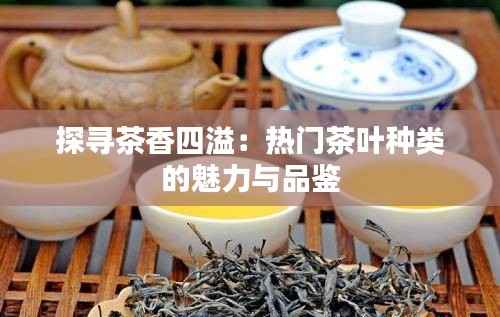 探寻茶香四溢:热门茶叶种类的魅力与品鉴