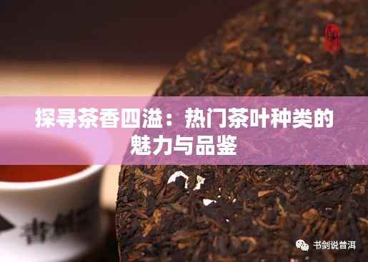探寻茶香四溢:热门茶叶种类的魅力与品鉴