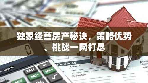 独家经营房产秘诀,策略优势、挑战一网打尽