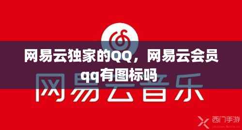 网易云独家的QQ,网易云会员qq有图标吗