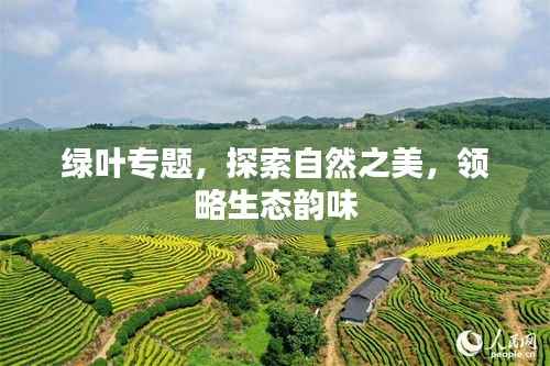 绿叶专题，探索自然之美，领略生态韵味
