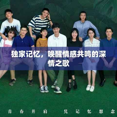 独家记忆,唤醒情感共鸣的深情之歌
