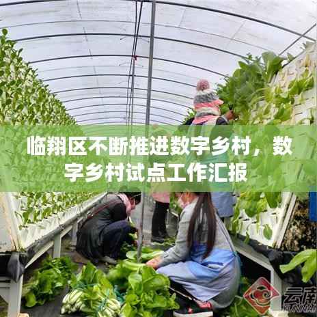 临翔区不断推进数字乡村,数字乡村试点工作汇报