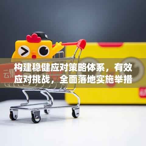 构建稳健应对策略体系,有效应对挑战,全面落地实施举措