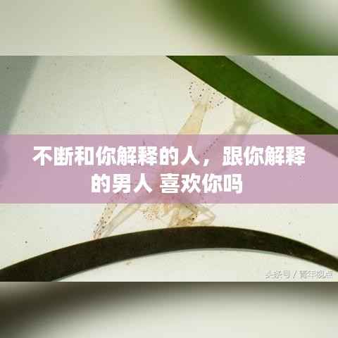 不断和你解释的人,跟你解释的男人 喜欢你吗