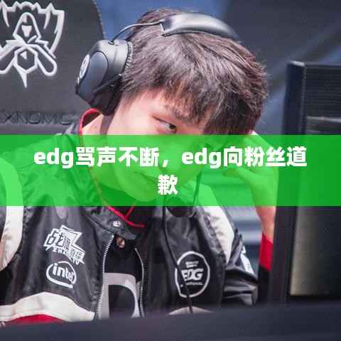 edg骂声不断,edg向粉丝道歉