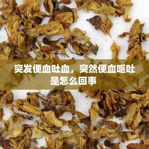 突发便血吐血，突然便血呕吐是怎么回事 