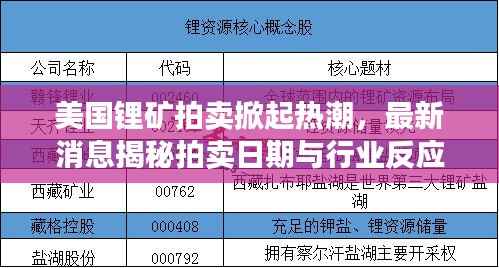 美国锂矿拍卖掀起热潮,最新消息揭秘拍卖日期与行业反应