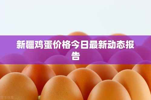 碧瓦飞甍 第5页