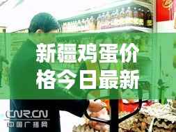 新疆鸡蛋价格今日最新动态报告