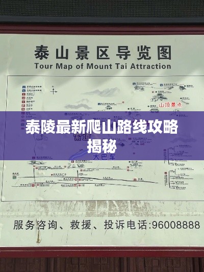 泰陵最新爬山路线攻略揭秘