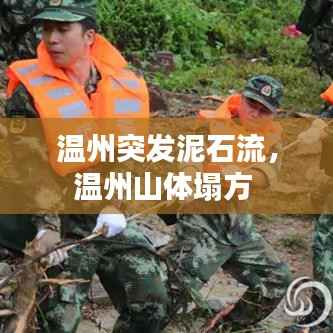 温州突发泥石流,温州山体塌方