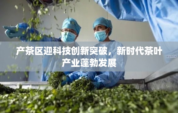 产茶区迎科技创新突破,新时代茶叶产业蓬勃发展