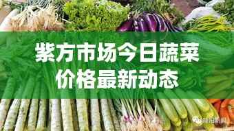 紫方市场今日蔬菜价格最新动态