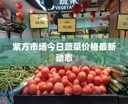 紫方市场今日蔬菜价格最新动态