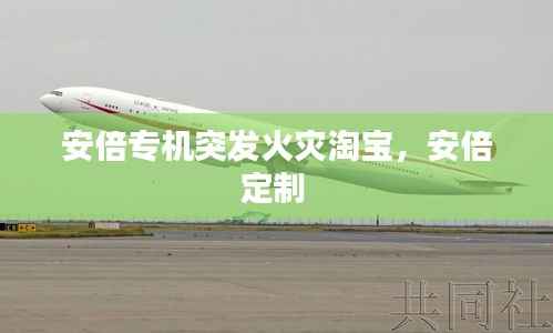 安倍专机突发火灾淘宝,安倍定制