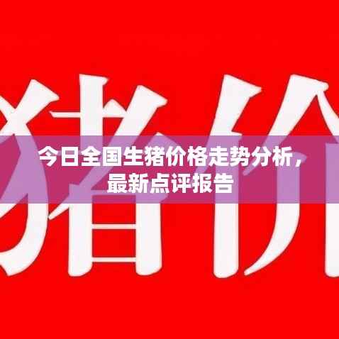 今日全国生猪价格走势分析,最新点评报告