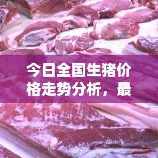 今日全国生猪价格走势分析,最新点评报告