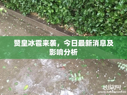 赞皇冰雹来袭,今日最新消息及影响分析