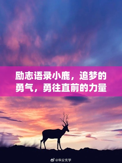 励志语录小鹿,追梦的勇气,勇往直前的力量