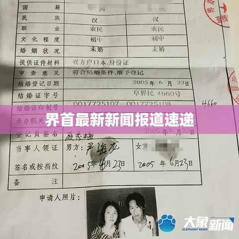 界首最新新闻报道速递